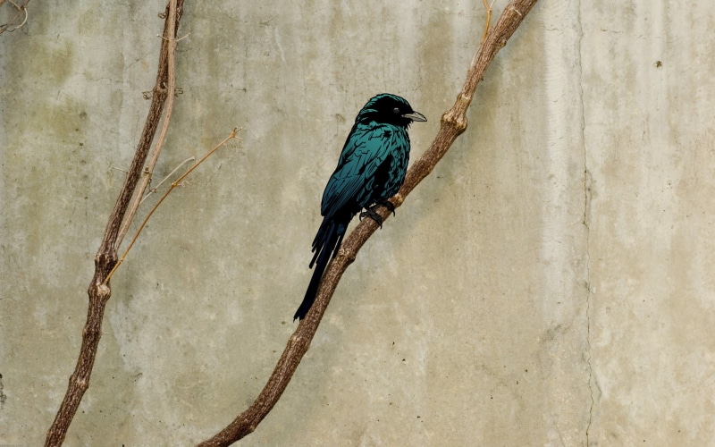 artwork, animal wildlife, perching, animal, kingfisher, focus on foreground, one animal, close-up, bird, vertebrate, animals in the wild, day, nature, stick - plant part