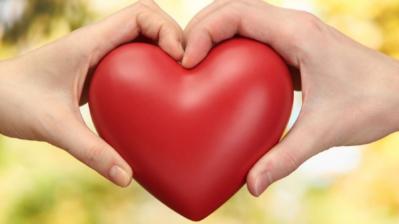 giving, pink, sign, holiday, wedding, outdoors, togetherness, celebrate, holding, day, fingernail, lover, greeting, decoration, heart shape, heart, romantic