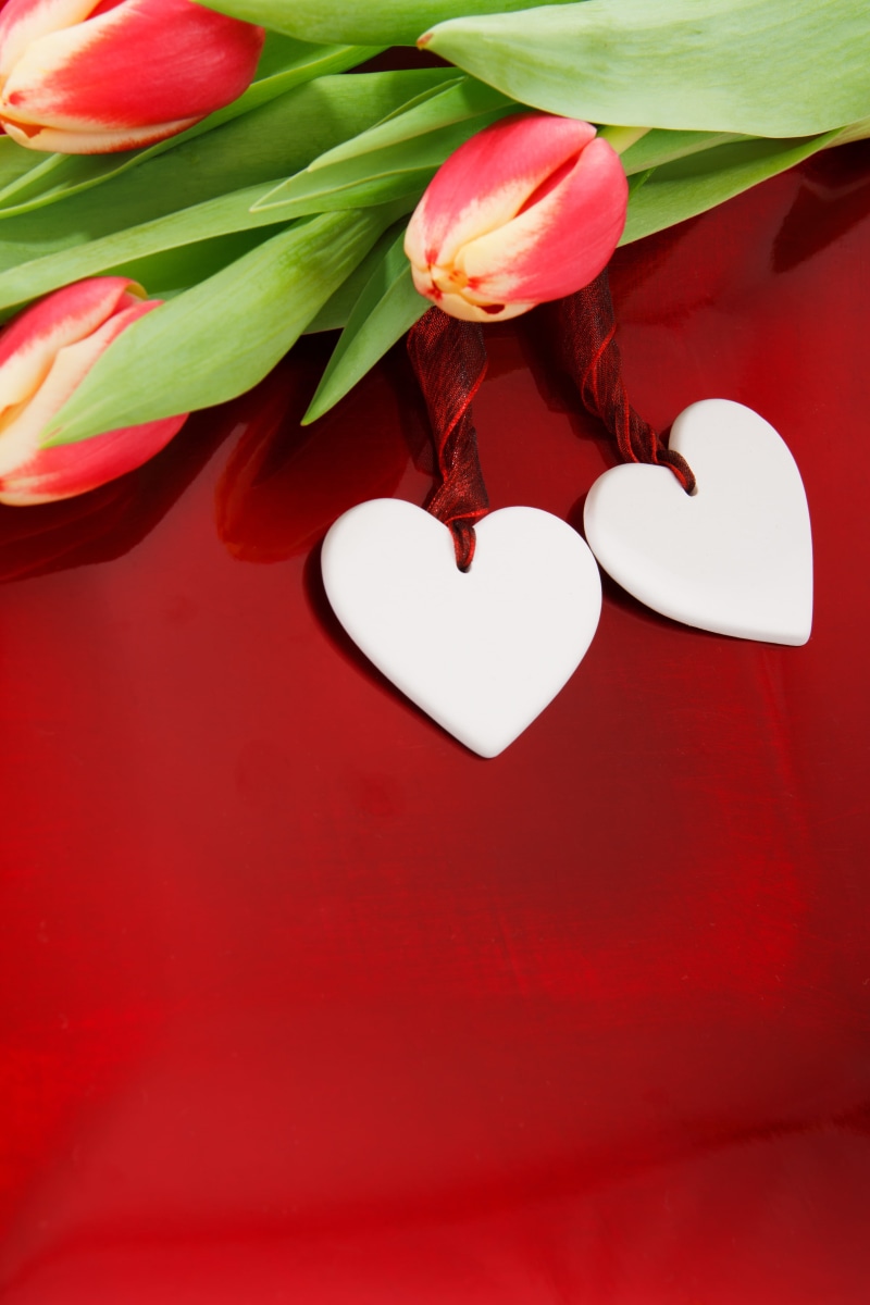gift, Anniversary, no people, valentine, petal, valentine Card, backgrounds, Blossom, emotion, shape, holidays And Celebrations, decoration, flower head