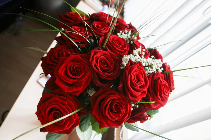 flowers, 2K, close-up, flower, flowering plant, gift, rose - Flower, decoration, no people, valentines Day - Holiday, romance, celebration, outdoors, bunch of flowers