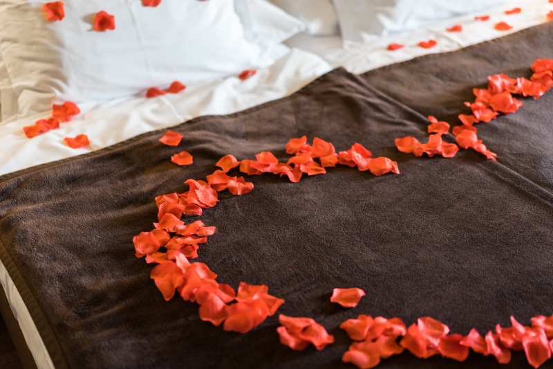 Petals, surprise, pillow, orange color, red, close-up, freshness, no People, furniture, food and drink, love, bed, plant, decoration, Bed of Roses, beauty in nature