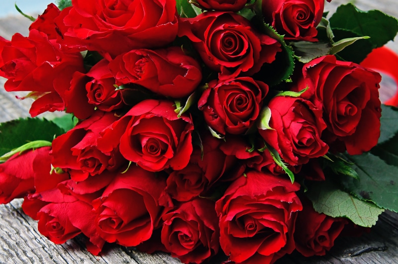 flowers, red rose bouquet, romance, red, joy, floral, valentines day, gift, outdoors, holiday, close-up, romanticism, petal, nature, flowering plant, fragility