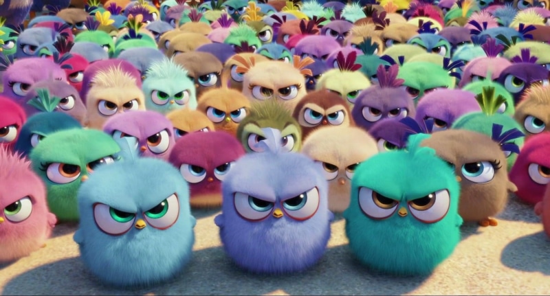 Movie, Colorful, Angry Birds, 1080P, The Angry Birds Movie