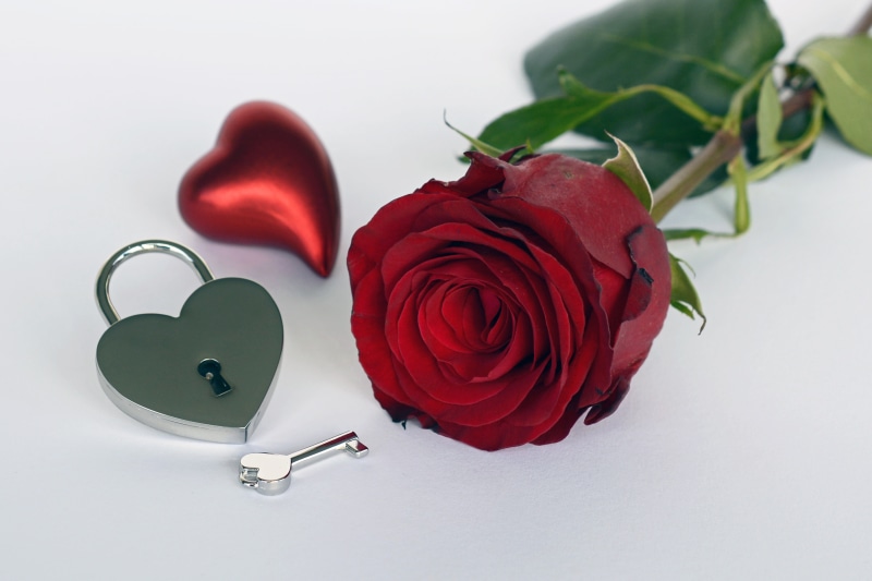 flower, red, plant, rose - flower, love, freshness, red rose, green, heart, key, indoors, metal, valentines day, romantic, petal, castle, heart shape, vulnerability