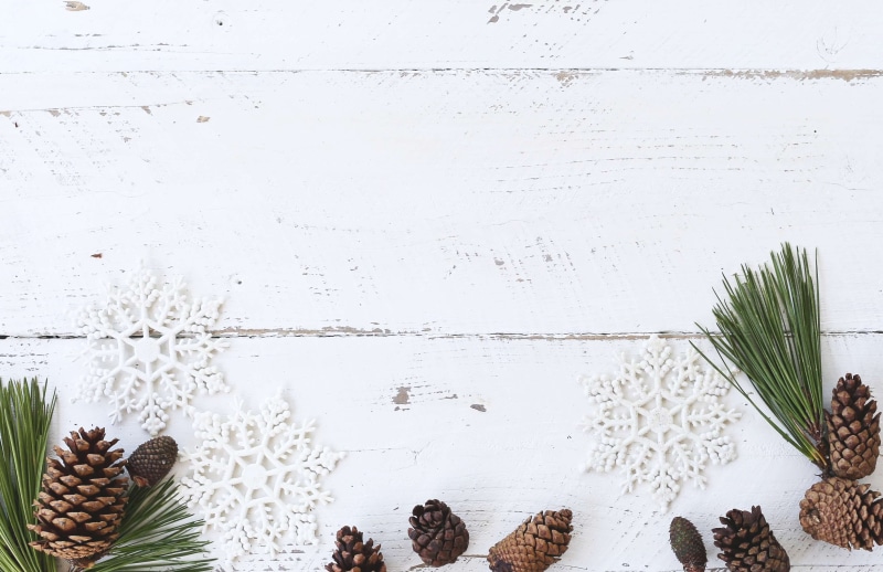 vegetable, agriculture, no people, gardening, freshness, holiday, plant, flatlay, indoors, copy space, table, herb, desk, organic, christmas, healthy eating