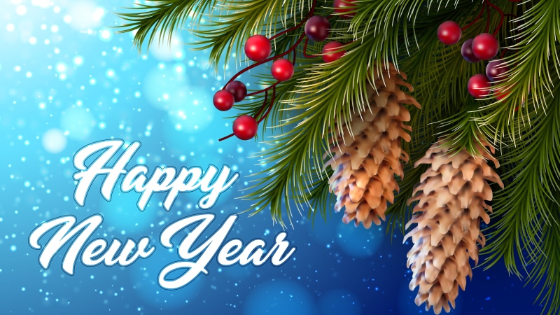 snowing, christmasberry, pine, christmas, 8K, winter, cone, 8k uhd, new year, christmas berry, happy new year, pine branches