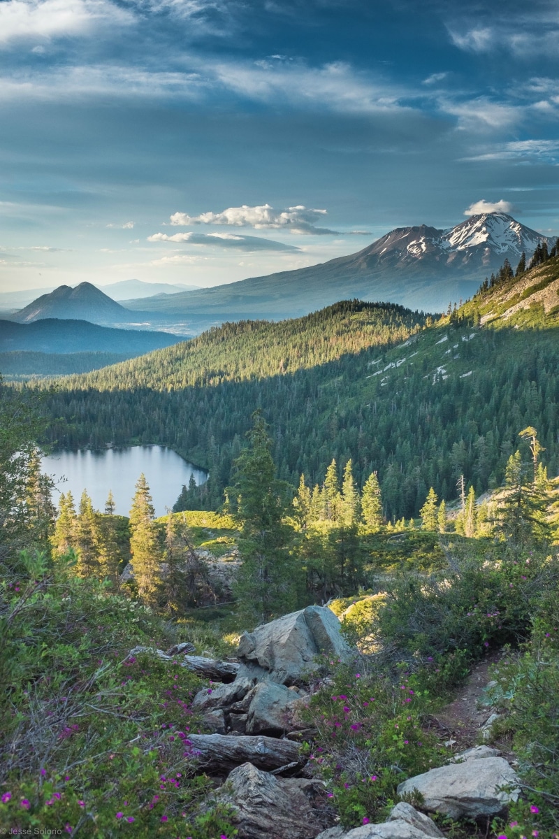 water, no people, forest, idyllic, Cinder Cone, tree, non-urban scene, cloud - sky, plant, 2K, beauty in nature, nature, mountain, day, Mount Shasta, environment
