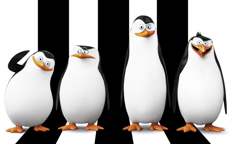toy, no people, male likeness, egg, Penguins of Madagascar, Madagascar (movie), art and craft, humor, still life, 1080P, human representation, indoors