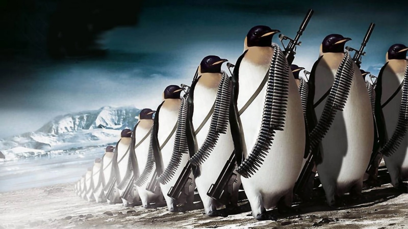 penguins, army, mountain, ice, humor, rifles, bird, in a row, full length, digital, 1080P, wildlife, frozen, sport, no people, animal, penguin
