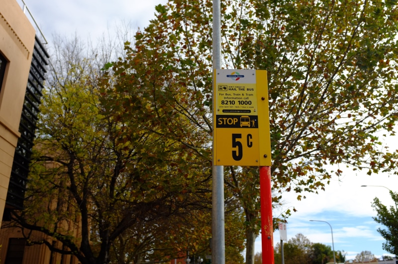 yellow, 4K, bus stop, tree, text, information sign, low angle view, outdoors, information, guidance, no people, day, plant, symbol, bus sign, growth, road