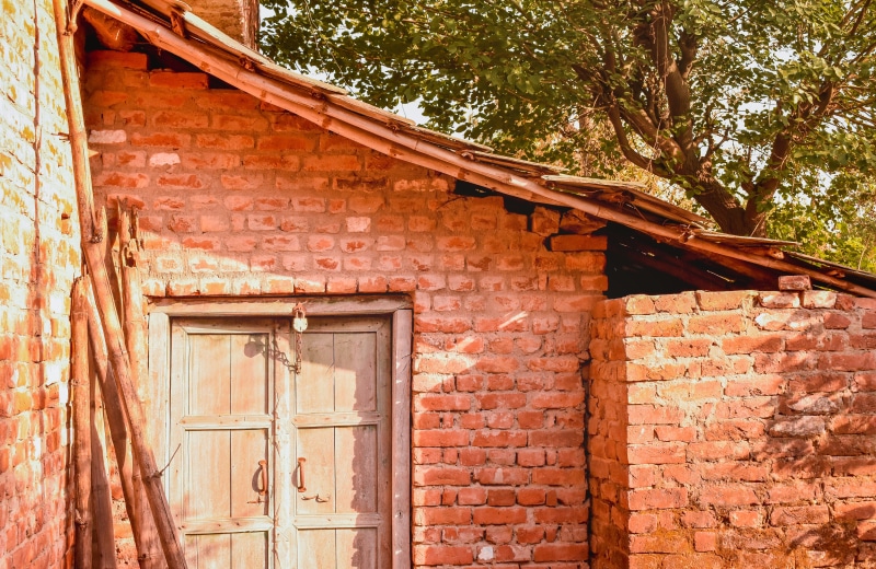 plant, brick wall, ramgarh, building exterior, day, window, wall - building feature, building, low angle view, wall, rural, built structure, nature, old