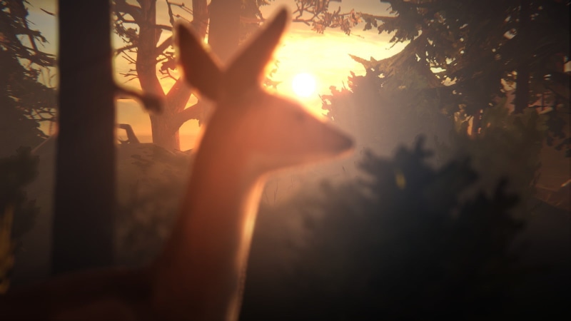land, lens flare, nature, Arcadia Bay, forest, growth, sunlight, sunset, deer, tree, streaming, sunbeam, Life Is Strange, trunk, tree trunk, plant, silhouette