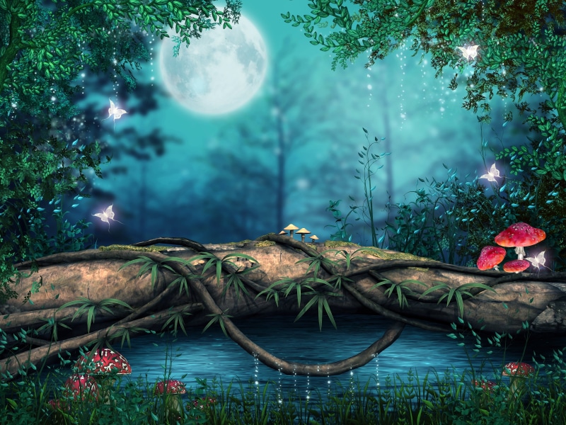 art, lake, magical, artwork, butterfly, Mushroom, photoshop, 4K, Forest