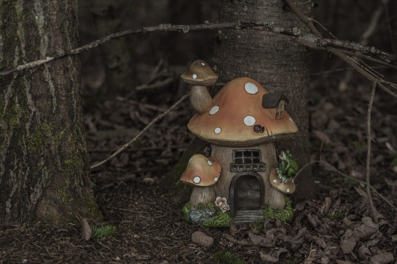 representation, autumn, Fairy, tree trunk, toadstool, trunk, plant, bark, outdoors, House, wood - material, close-up, near, focus on foreground, Forest