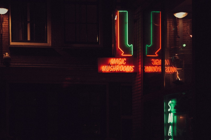 mushrooms, capital letter, europe, light, illuminated, night, magic, glowing, cars, neon, arrow, city, no people, number, red, netherlands, buildings, exposure