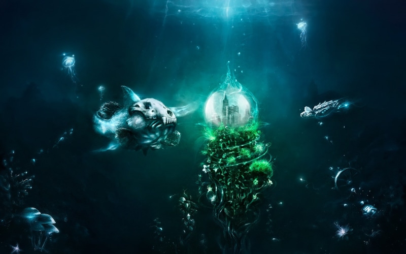 aquatic sport, nature, animal themes, Mushrooms, underwater, turtle, animal wildlife, water, swimming, skulls, scuba diving, adventure, animals in the wild
