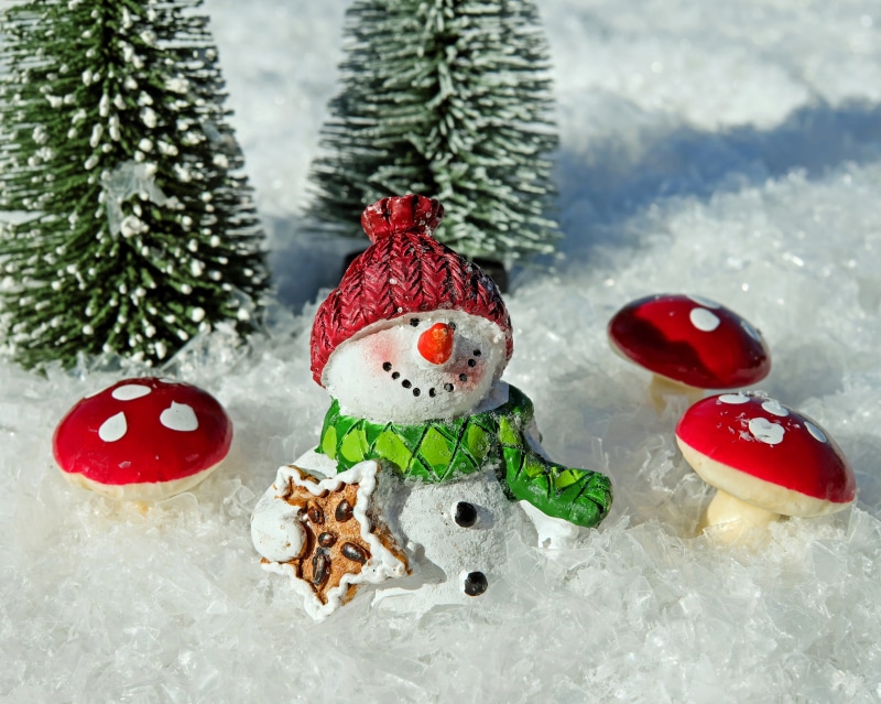 no people, winter dream, christmas ornament, holding, funny, winter magic, cap, cold temperature, snow magic, mushrooms, winter, gingerbread, representation