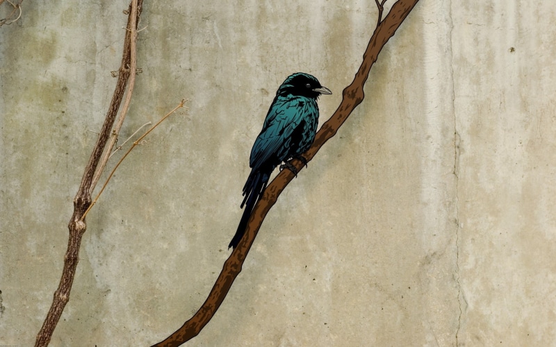 1080P, branch, beige, Jared Nickerson, birds, green, simple background, grunge, artwork
