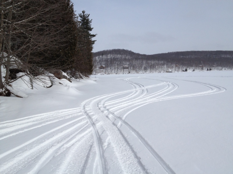 cold temperature, non-urban scene, plant, covering, forest, trees, snowmobile, snowmobiles, tree, yamaha, no people, scenics - nature, tranquil scene, winter