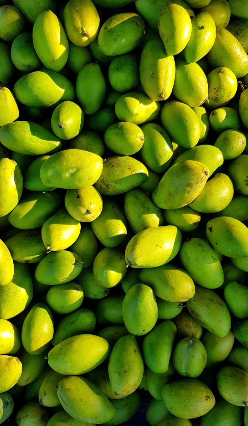 freshness, directly above, batch, vegetable, bitter, wellbeing, nutrition, fresh, close-up, full frame, farming, day, backgrounds, still life, green, seed