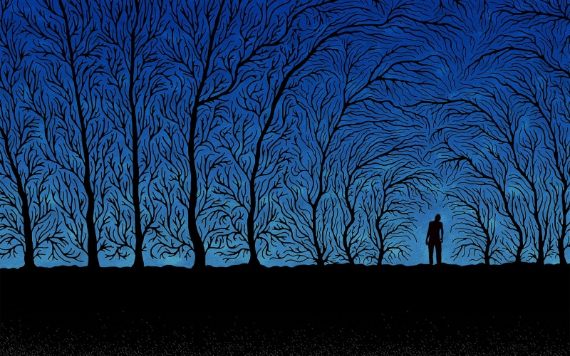 person, forest, black Color, outdoors, design, landscape, night, scenics - nature, land, white, shadow, plant, tranquility, tranquil scene, vector