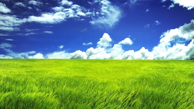 1080P, agriculture, clouds, freedom, no people, landscape, green color, springtime, idyllic, horizon over land, beauty in nature, tranquil scene, tranquility