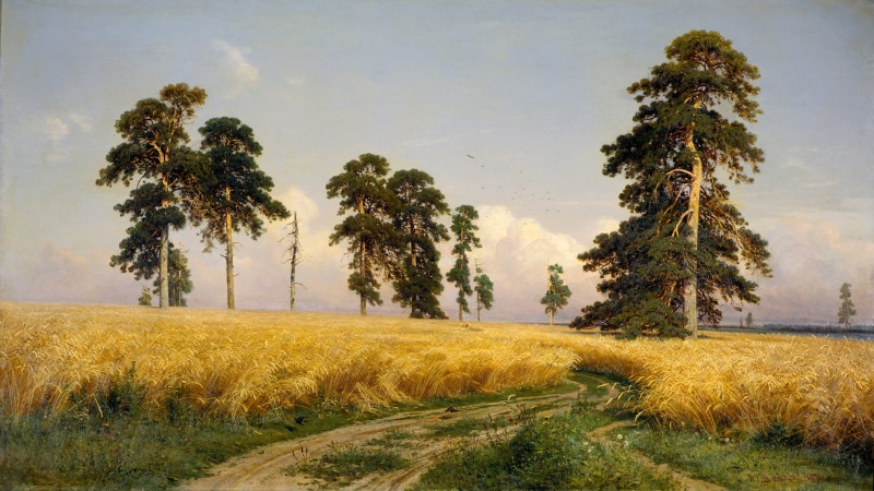 land, scenics - nature, 4K, Rye, beauty In Nature, rural Scene, growth, agriculture, painting, tree, sky, ivan shishkin, Russia, public domain, photo