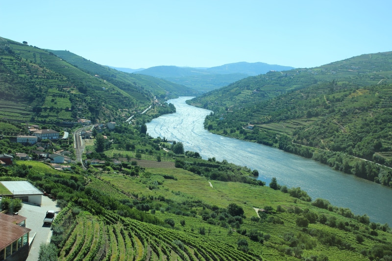 tranquil scene, farm, growth, tranquility, scenics, environment, plant, winemaking, green Color, beauty in nature, flowing water, Vineyard, europe, landscape