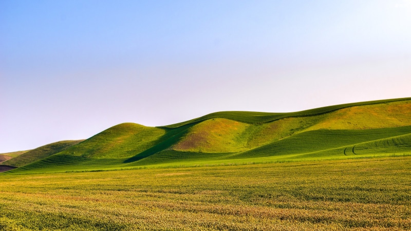 field, landscape, environment, scenics - nature, mountains, day, mountain chain, rolling landscape, sky, tranquility, 4K, outdoors, tranquil scene, green color