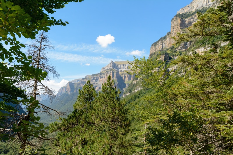chain of the pyrenees, monte perdido, scenics - nature, mountain, travel destinations, tranquil scene, coniferous tree, ordesa valley, mountain range, cloud - sky