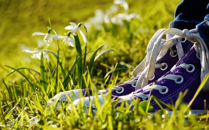 sport, flower, rural Scene, field, protection, legs, no people, shoe, jogging, focus on foreground, security, meadow, metal, close-up, mountain, sneakers