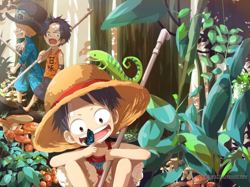 One Piece, 720P, Anime, Sabo (One Piece)