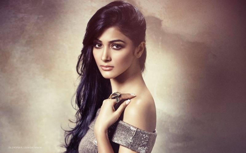 hair, one person, young women, hairstyle, fashion, beauty, long hair, young adult, real people, desi girls, front view, pooja hedge, indian celebrities