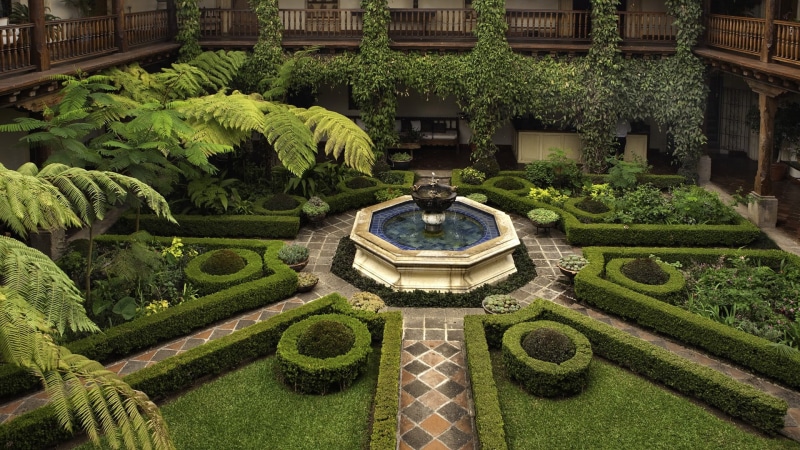 outdoors, nature, leaves, green color, brown, set, day, 1080P, building, growth, architecture, trees, plants, built structure, topiary, grass, white, plant