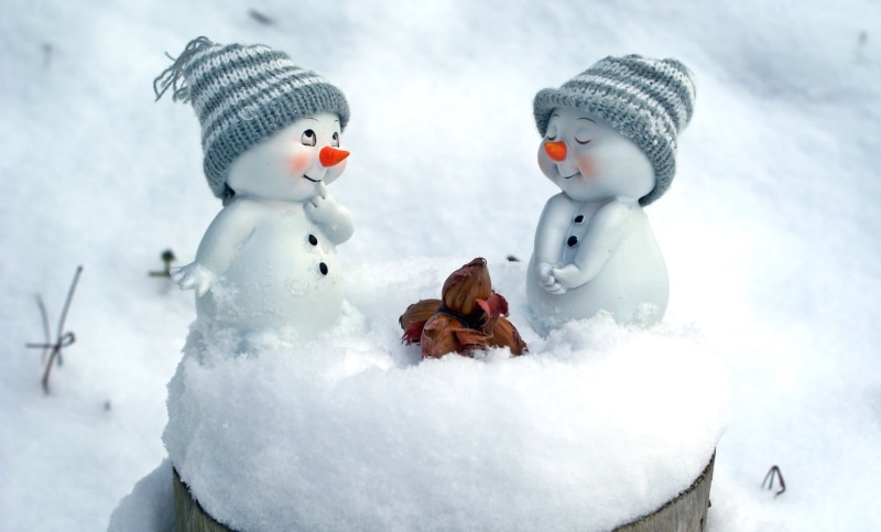 white, human representation, holiday, blue, winter, hat, knit hat, scarf, two, covering, no people, snow, male likeness, warm clothing, toy, close-up, backgrounds