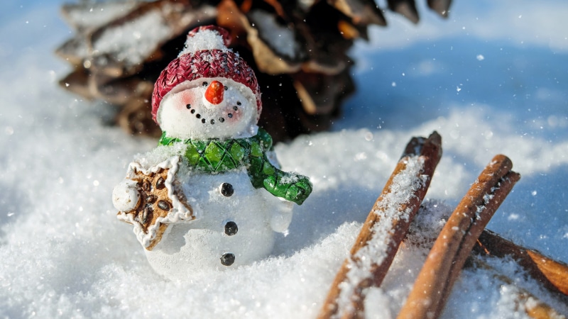 4K, snowman, figure, xmas, cinnamon, christmas, snow