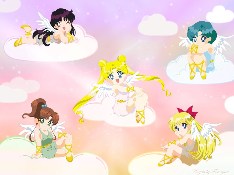 smiling, sailor moon, art, small, digital composite, computer Graphic, mammal, wings, vector, smiles, clip, boys, pets, nature, angels, 720P, girls, image