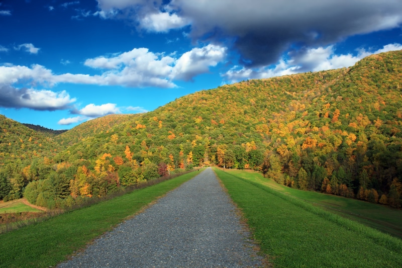 Sinnemahoning State Park, pathway, 5K, autumn, beauty In Nature, forest, Elk State Forest, tree, scenics, road, Cameron County, Appalachian Mountains