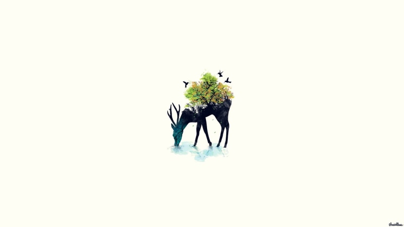 people, flower, animals, minimalism, beauty in nature, cut out, plant, 1080P, cold temperature, unrecognizable person, indoors, day, deer, copy space