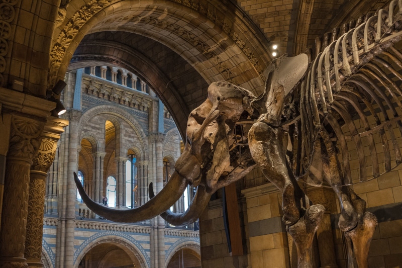 united kingdom, art and craft, the past, indoors, craft, no people, arch, ceiling, creativity, 5K, human representation, built structure, xt-2, architecture