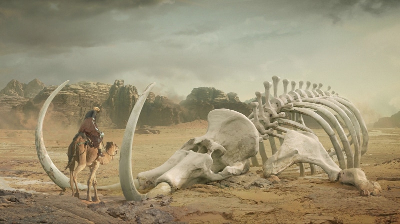 1080P, camel, tusks, giant, art, Bedouin, Daniel  Romanovsky, skeleton, desert, mammoth