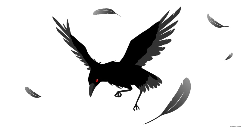 Animal, 8K, Feather, Artistic, Vector, Crow, Minimalist