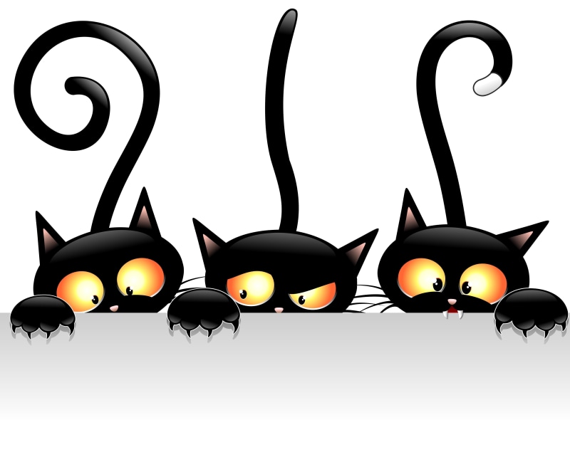 happiness, no people, variation, cute, three, halloween, animal, animal wildlife, illustrations And Vector Art, close-up, tails, cut out, smiling, bird