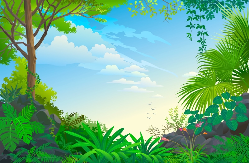idyllic, blue, tranquility, nature, palm leaf, vector, landscape, plant part, leaf, growth, non-urban scene, beauty in nature, cloud - sky, plant, tranquil scene