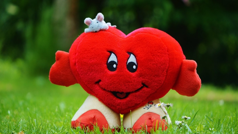 plant, happy valentines, no people, stuffed toy, day, heart, smiling, valentine day, close-up, valentines day, animal, nature, mammal, green color, representation