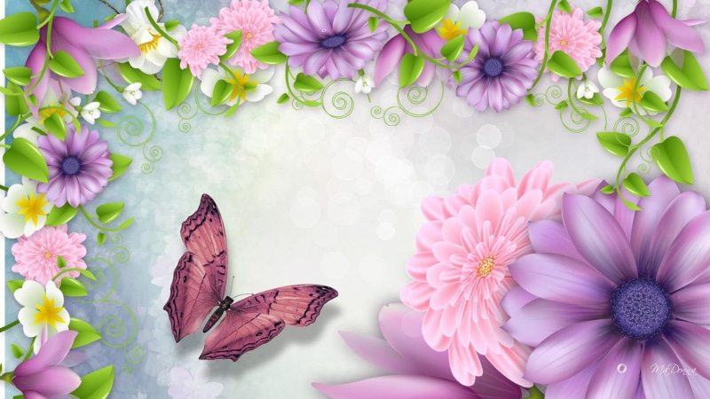 beautiful, desirable, foxy, studly, flowers, 1080P, bouquet, alluring, papillion, lilac, dishy, nubile, toothsome