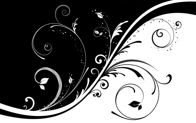 white, black and white, 2K, black, vector