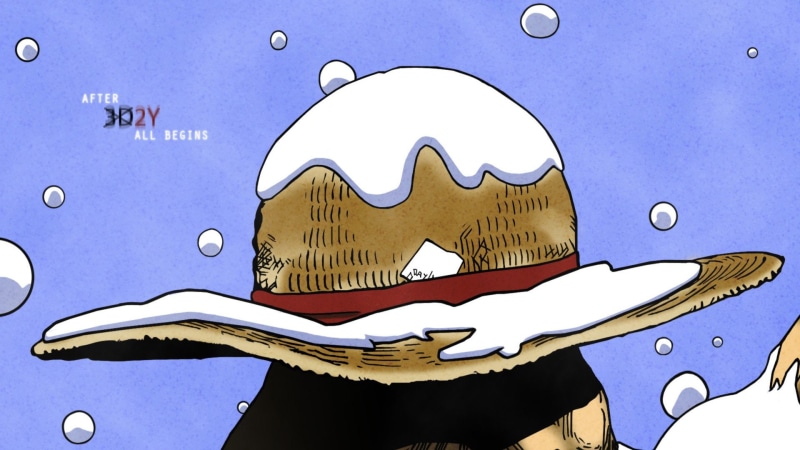 monkey, piece, hats, chopper, one, brook, one-piece-van-pis-mugivary, nami, sanji, hat, straw, luffy, roronoa, zoro, franky, 1080P, pirates, wang-pis
