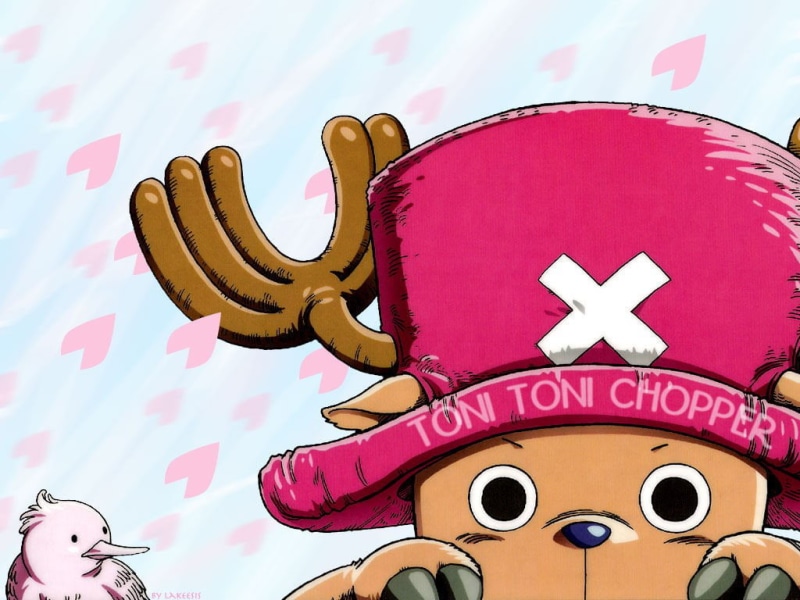 pirates, doctor, tony Chopper, one Piece, anime, 480P, strawhat