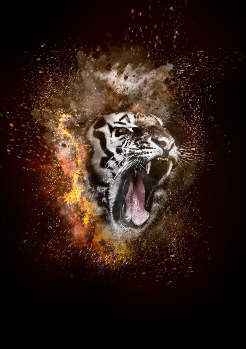 animal Eye, water, cruel, animal wildlife, one animal, siberian Tiger, animals Hunting, fire, brown, striped, danger, anger, aggression, big Cat, black background